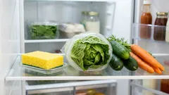 Houba v ledničce: jednoduchý trik, který používají zkušené hospodyňky
