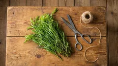 Tato aromatická bylina zásadně mění chuť pokrmu — ale často se používá nesprávně.